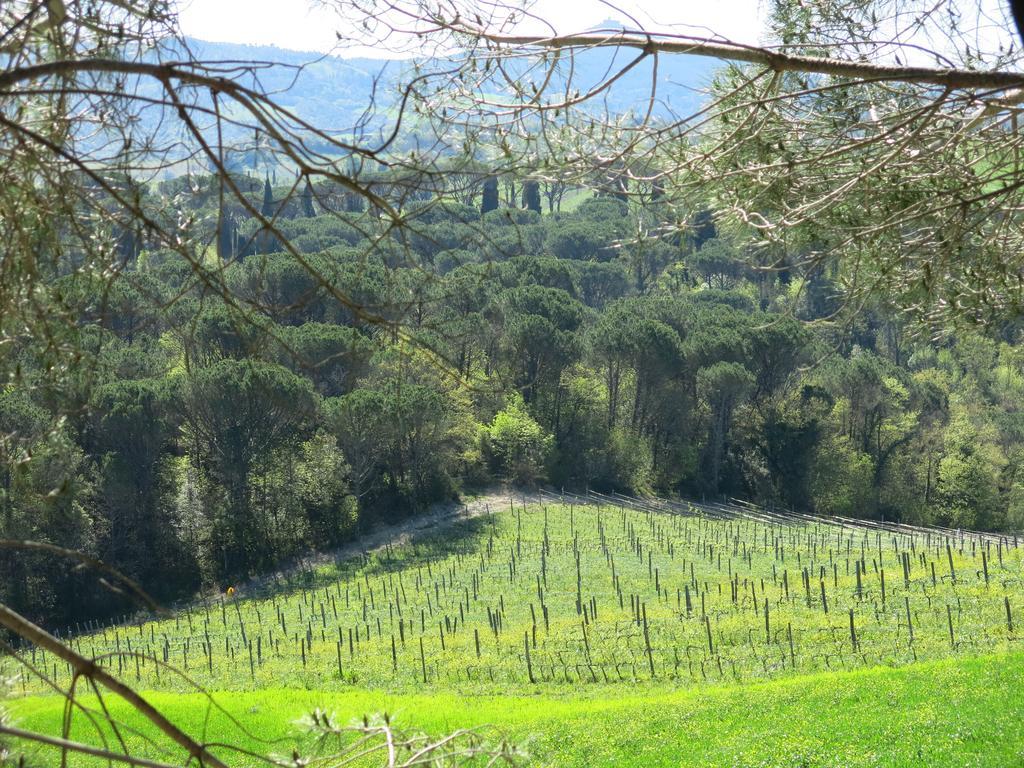 Agriturismo Il Palagetto Помаранче Екстериор снимка