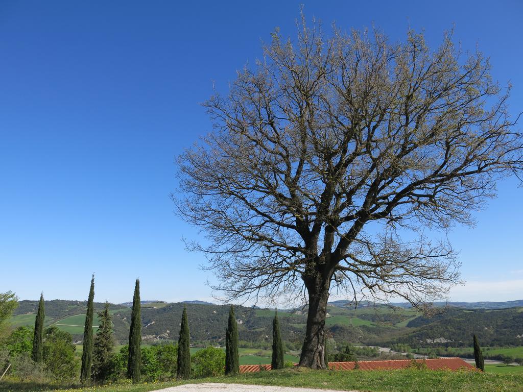 Agriturismo Il Palagetto Помаранче Екстериор снимка